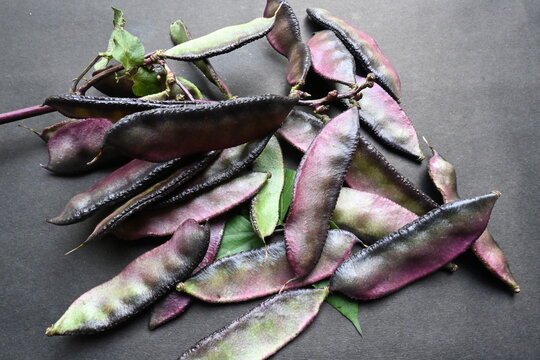 Lablab purpureus vegetable on black background.  Its other names lablab bean,&nbsp;bonavist bean pea,&nbsp;dolichos bean,&nbsp;seim,&nbsp;lablab,&nbsp;Egyptian kidney bean,&nbsp;Indian bean. 
