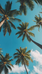 Obraz premium Tropical palm trees against a clear blue sky, low angle view.