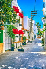Colorful streets with white houses and curly flowers in Bodrum