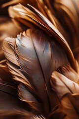 Close-up of intricate bird feathers, ideal for texture and pattern studies. 