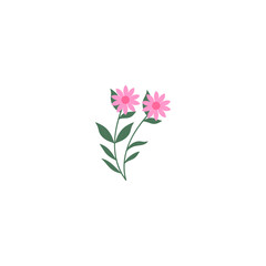 Fototapeta premium vector element pink flower floral and fauna day pink