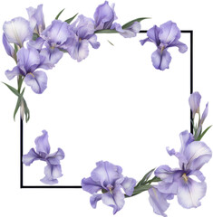 Colorful painting of Iris floral frame.