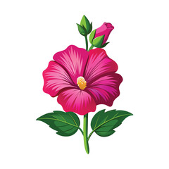 Hollyhock Flower Illustration on White Background