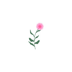 vector element pink flower floral and fauna day pink