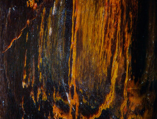 Petrified wood fossil jade texture