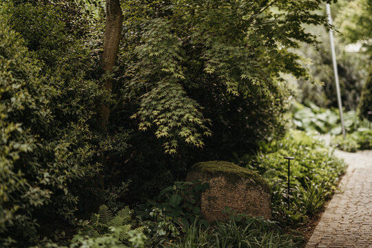 close up of a forest garden border
