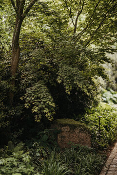 close up of a forest garden border