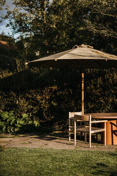 garden patio outdoors covered in sunshine