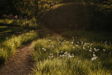 Path covered in sunshine