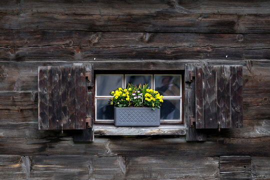 Flower pot on the wooden windowstill