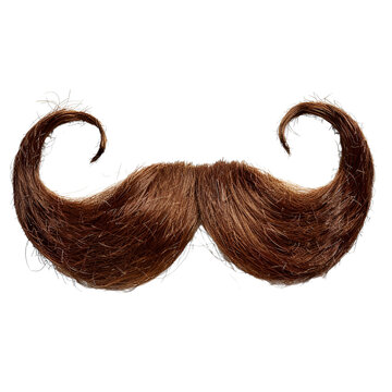 moustache on transparent background