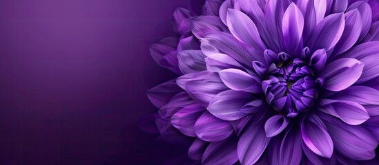 Obraz premium A large purple flower stands out against a lush purple background, creating a striking contrast. The flowers intricate petals and vibrant color are highlighted in this captivating composition.