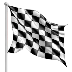 Foto op Plexiglas finish flag on transparent background © Thetopzz
