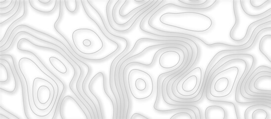 Abstract topographic contours 3d map background .topographic line texture background .monochrome image .stylized height of the topographic map contour in lines.	