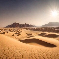 desert sand dunes the day