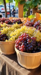 A close-up of a basket with Ripe delicious red, green grapes on the Counter of a Farmer's Market. Local Organic products, Autumn harvest, winery, Agriculture, Fruit Plantation, Farm concepts.