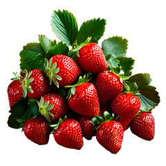  strawberries isolated on transparent background. Full depth of field