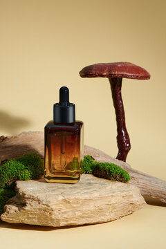 Cosmetic bottle serum, oil on stone stand with ganodermas
