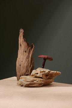 Background for the presentation of cosmetic products