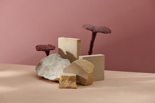 Still life for the presentation of cosmetic products.