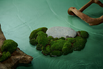 Stone podium with green moss and bark tree on water
