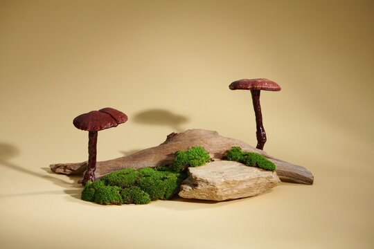 A stone podium for product presentation that extracted from ganoderma