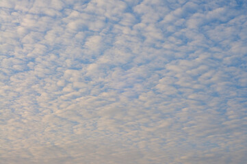 Altocumulus Clouds in the Morning Sky