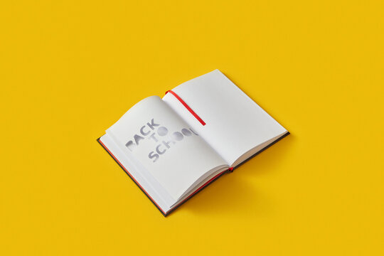 Back to school phrase cut out in copybook.