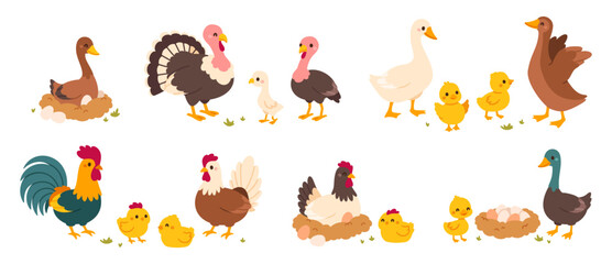 Farm bird. Cartoon different domestic poultry walking on yard. Cute chicken, rooster, nice ducks, turkeys, gooses with brood, eggs in nest. Family fowl. Mother and kids. Vector set © Foxy Fox