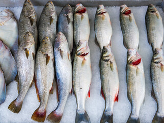 Seafood prepared for sale at the fish market in Kusudasi. Türkiye	