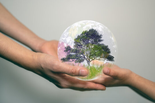 earth day concept senior hands giving small planet earth with tree to a child over defocused green background with copy space, elements of the image furnished by nasa