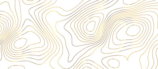 Abstract pattern with lines Topographic map. Geographic mountain relief . Modern design with white background golden line wavy pattern design. Background for desktop, topology, digital art .