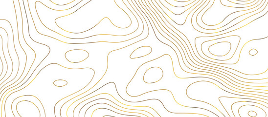 Abstract pattern with lines Topographic map. Geographic mountain relief . Modern design with white background golden line wavy pattern design. Background for desktop, topology, digital art .