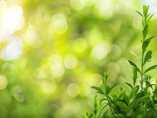 Naklejka premium green nature background