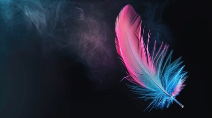Pink and blue feather with smoke on black background.