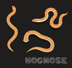 Snake Hognose Cartoon Vector Illustration