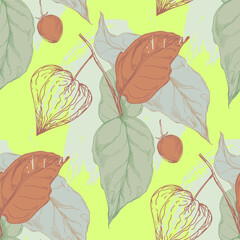 Seamless physalis pattern. Ornament for scrapbooking, prints, clothes, fabrics, textiles, packaging.