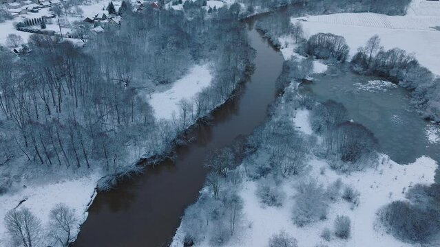 Winding river through snow-covered forest in Abava river valley near Renda village (Kuldiga parish, Latvia), aerial view, forward movement, tilt up