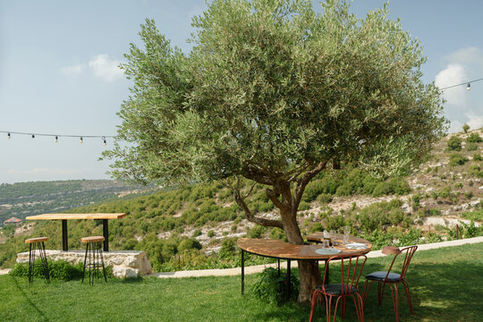 Round table under the tree in the garden with dishware on it