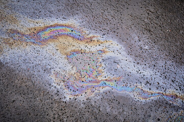 An oil slick on wet asphalt surface. Picture of oil or gasoline spill on asphalt