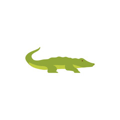 vector animal day flora and fauna nature
