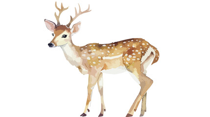 Cute watercolor deer