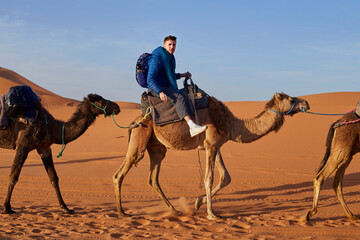 Joyful tourist explores the desert on a guided camel tour.