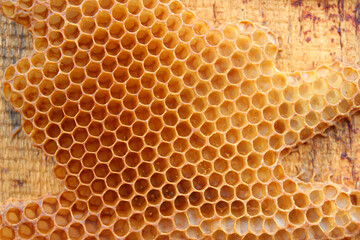 Natural wild bees honey combs on a wooden board