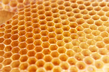 Fotobehang Natural wild bees honey combs on a wooden board © Vita