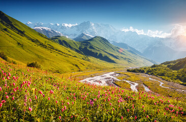 Fototapeta na wymiar An incredible view of the valley of the Enguri river and Main Caucasus Range. Upper Svaneti, Georgia.