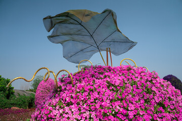 Artificial leaf decorated Colorful petunias (Petunia hybrida) flowers blooming in garden to decorated in a semicircle look like fruit with space of blue sky background.
