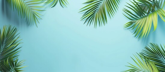 Fototapeta premium Vibrant green palm leaves stand out against a blue background, creating a tropical and summery aesthetic. The isolated palm leaf branches provide space for text, making it ideal for summer advertising