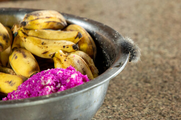 Moth caterpillar navigating a stainless steel bowl of fruit