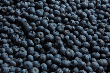 Close-up background with fresh blueberries.
